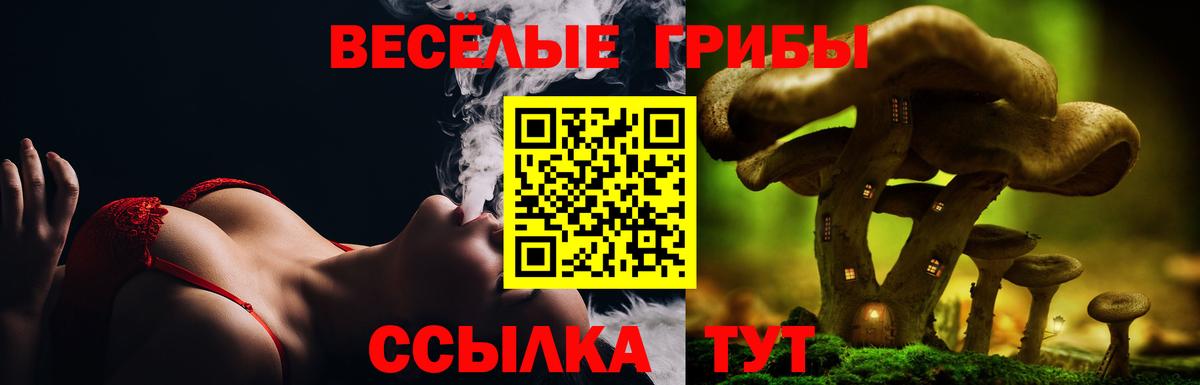 Галлюциногенные грибы Psilocybe  Вход с VPN  Подольск  Галлюциногенные грибы ЛСД 